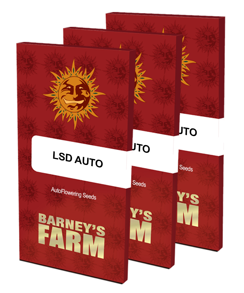 Barney's Farm - LSD Auto (auto/fem.)