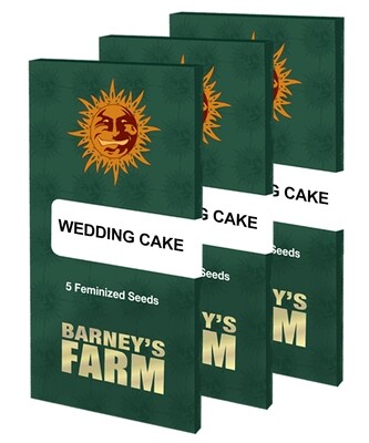 Barney's Farm - Wedding Cake (fem.) 06918