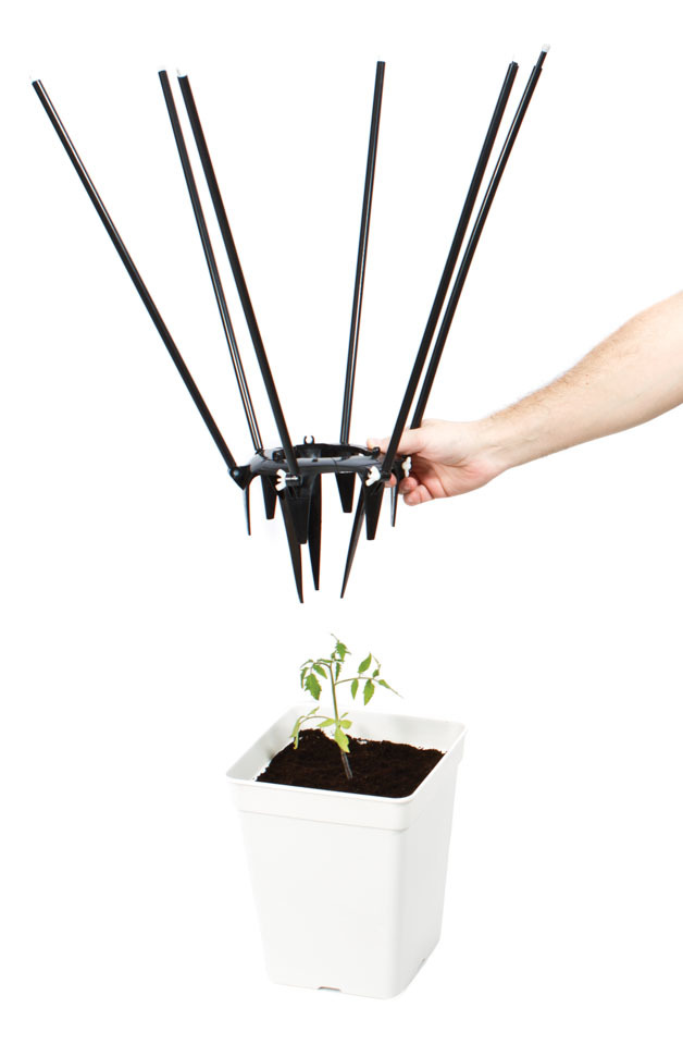 Приспособление для растяжки ветвей растений вширь