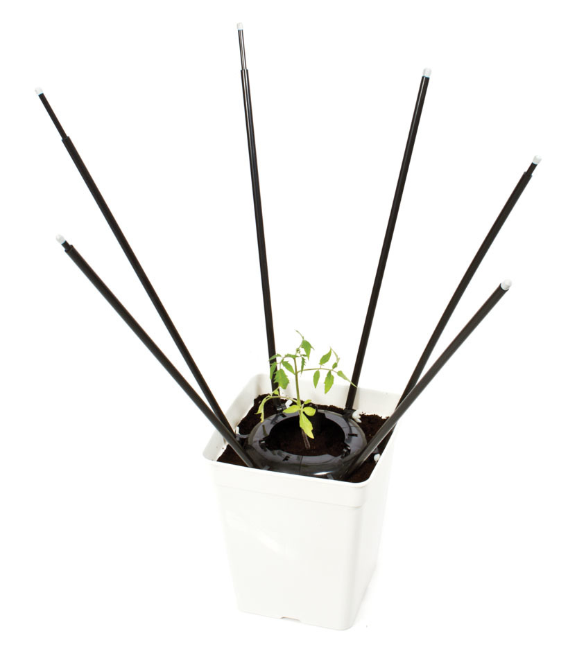 Приспособление для растяжки ветвей растений вширь