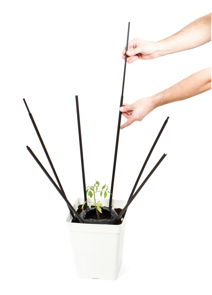 Приспособление для растяжки ветвей растений вширь