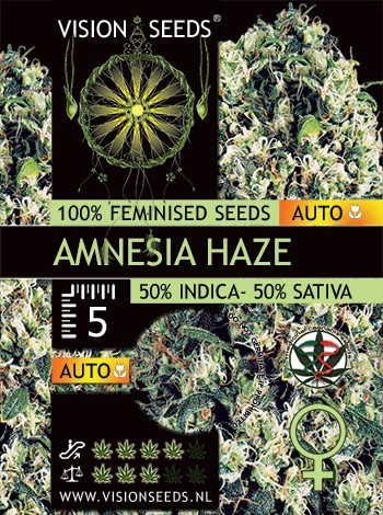 Vision Seeds - Amnesia Haze Auto (auto/fem.)