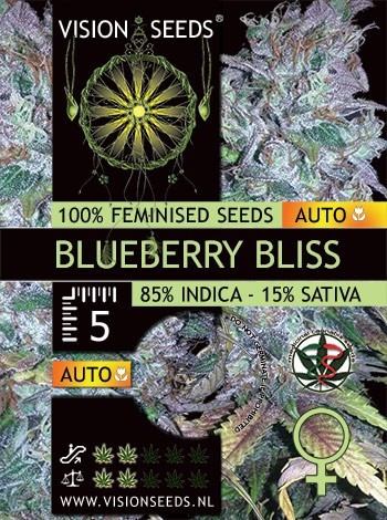 Vision Seeds - Blueberry Bliss Auto (auto/fem.)
