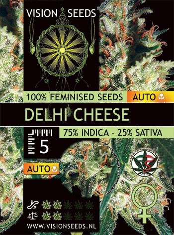 Vision Seeds - Delhi Cheese Auto (auto/fem.)