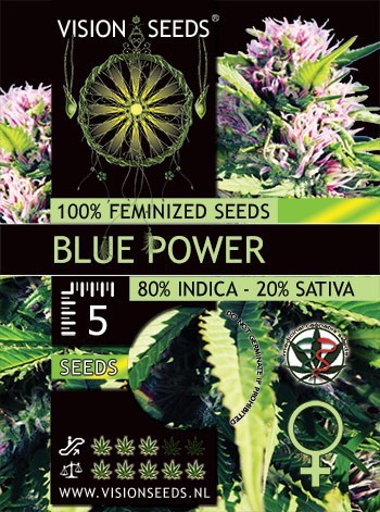 Vision Seeds - Blue Power (fem.)