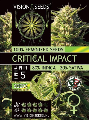 Vision Seeds - Critical Impact (fem.)