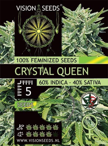 Vision Seeds - Crystal Queen (fem.)