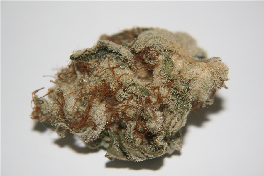 Vulkania Seeds - White Fya (fem.)
