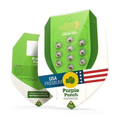 Royal Queen Seeds - Purple Punch Automatic (auto/fem.) 08004