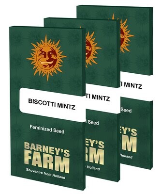 Barney's Farm - Biscotti Mintz (fem.) 08011