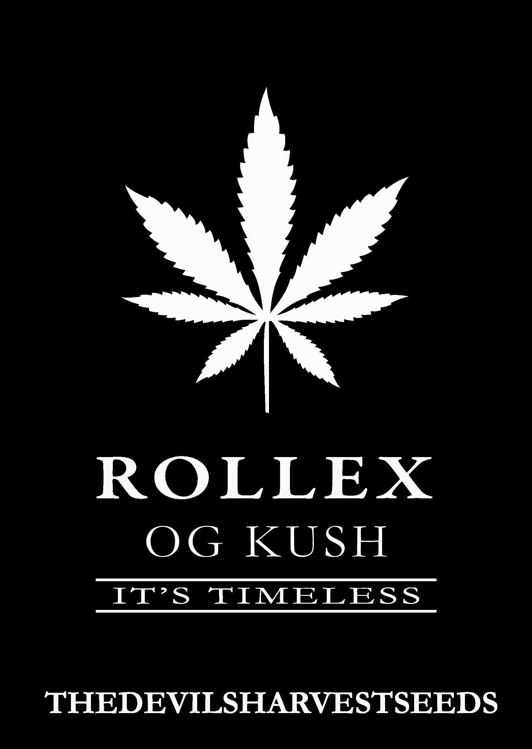 Devil's Harvest Seeds - Rollex OG Kush (fem.)
