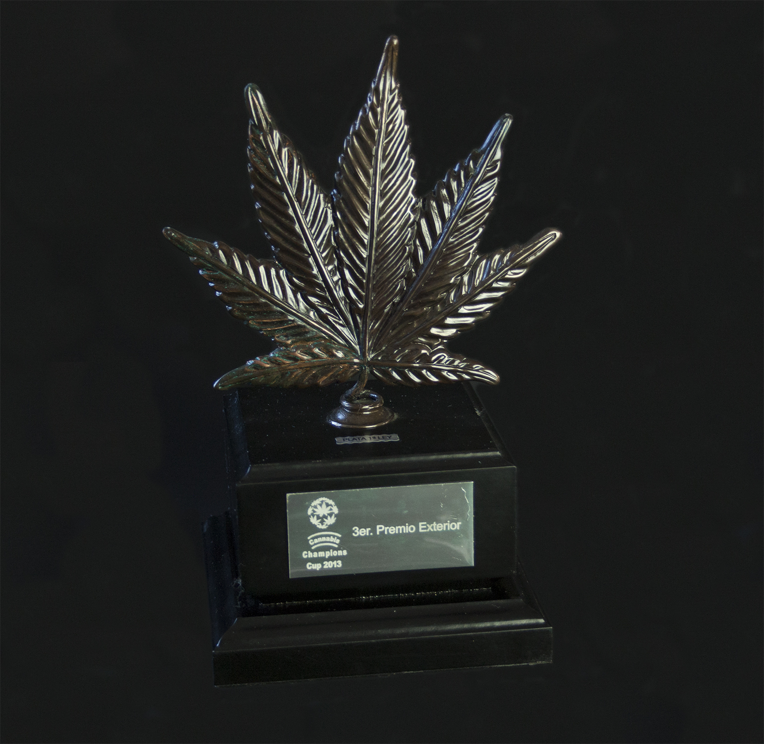 Devil's Harvest Seeds - Casey Jones (reg.)