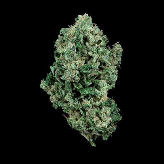 Reserva Privada (DNA Genetics Seeds) - Kandy Kush (reg.)