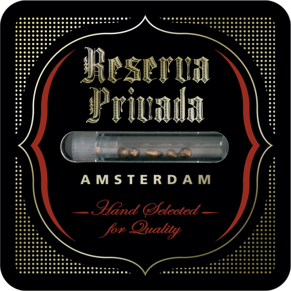 Reserva Privada (DNA Genetics Seeds) - X18 Pure Pakistani (reg.)