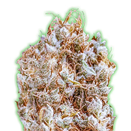 Monster Genetics - Monster Zkittles (fem.)