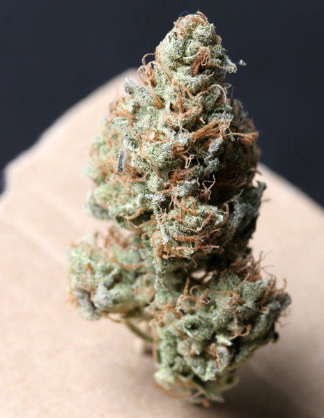 T.H. Seeds - Bubblegum (reg.)