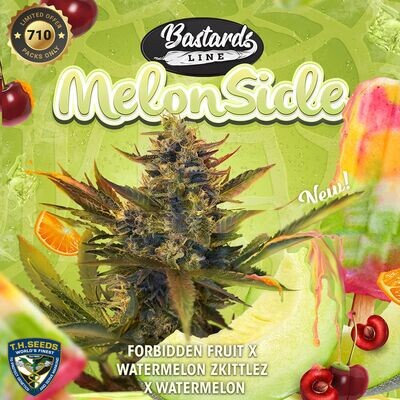 T.H. Seeds - Melonsicle (fem.) 08166