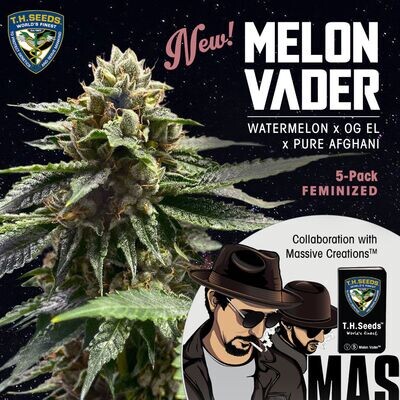 T.H. Seeds - Melon Vader (fem.) 08165