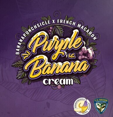 T.H. Seeds - Purple Banana Cream (fem.) 08169