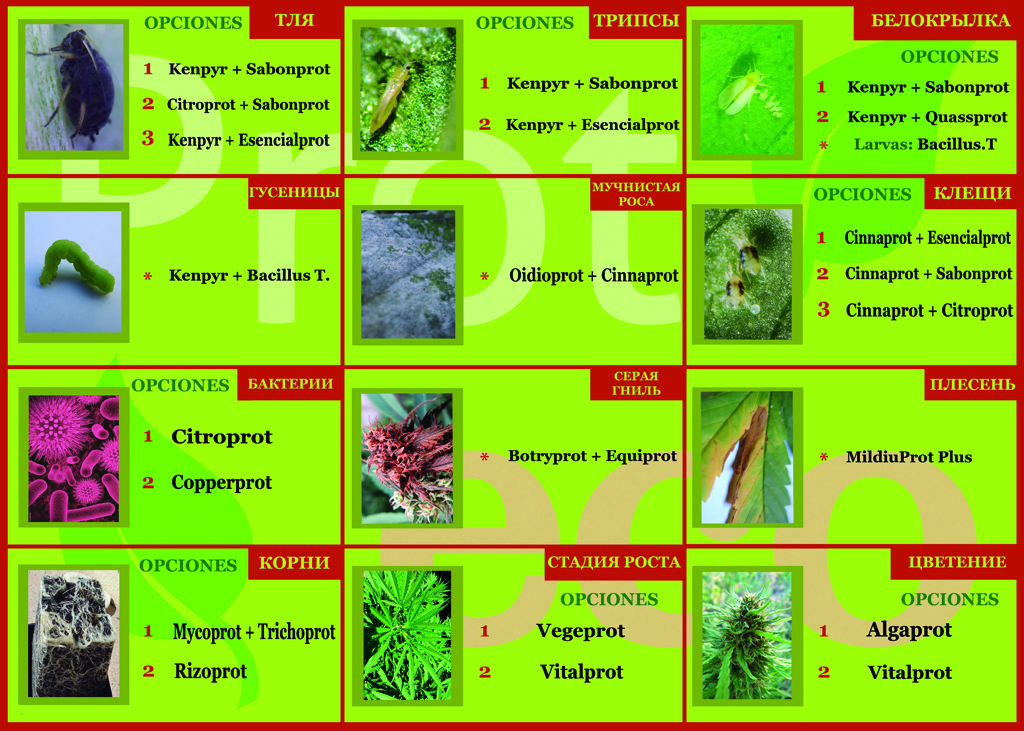 Prot-Eco - Copperprot (корректор дефицита меди для марихуаны и защита от вредных бактерий)