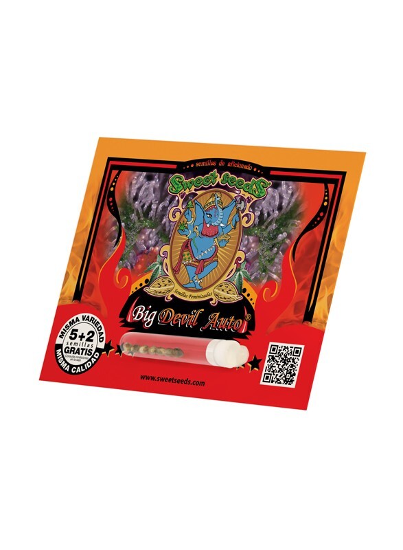 Sweet Seeds - Big Devil Auto (auto/fem.)