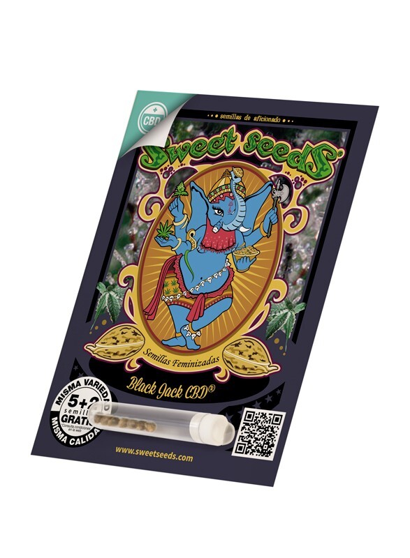 Sweet Seeds - Black Jack CBD (fem.)