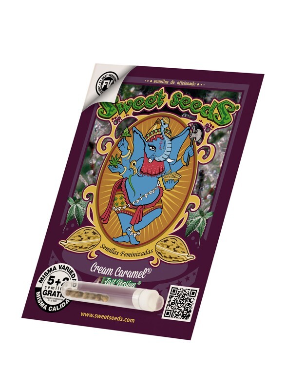 Sweet Seeds - Cream Caramel F1 Fast Version (fem.)