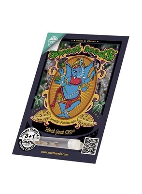 Sweet Seeds - Black Jack CBD (fem.) 05622