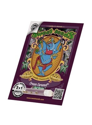 Sweet Seeds - Cream Caramel F1 Fast Version (fem.) 03793