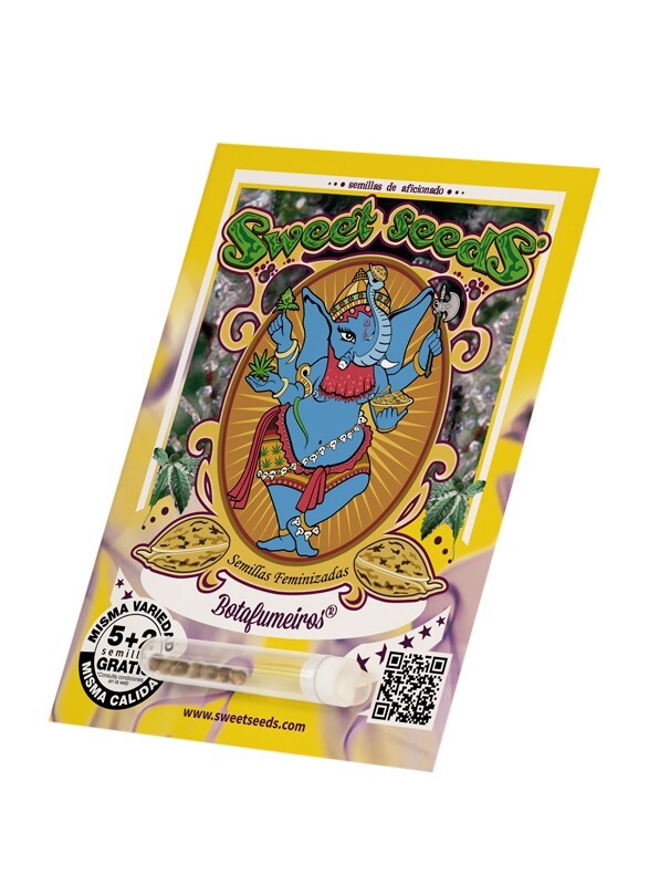 Sweet Seeds - Botafumeiros (fem.)