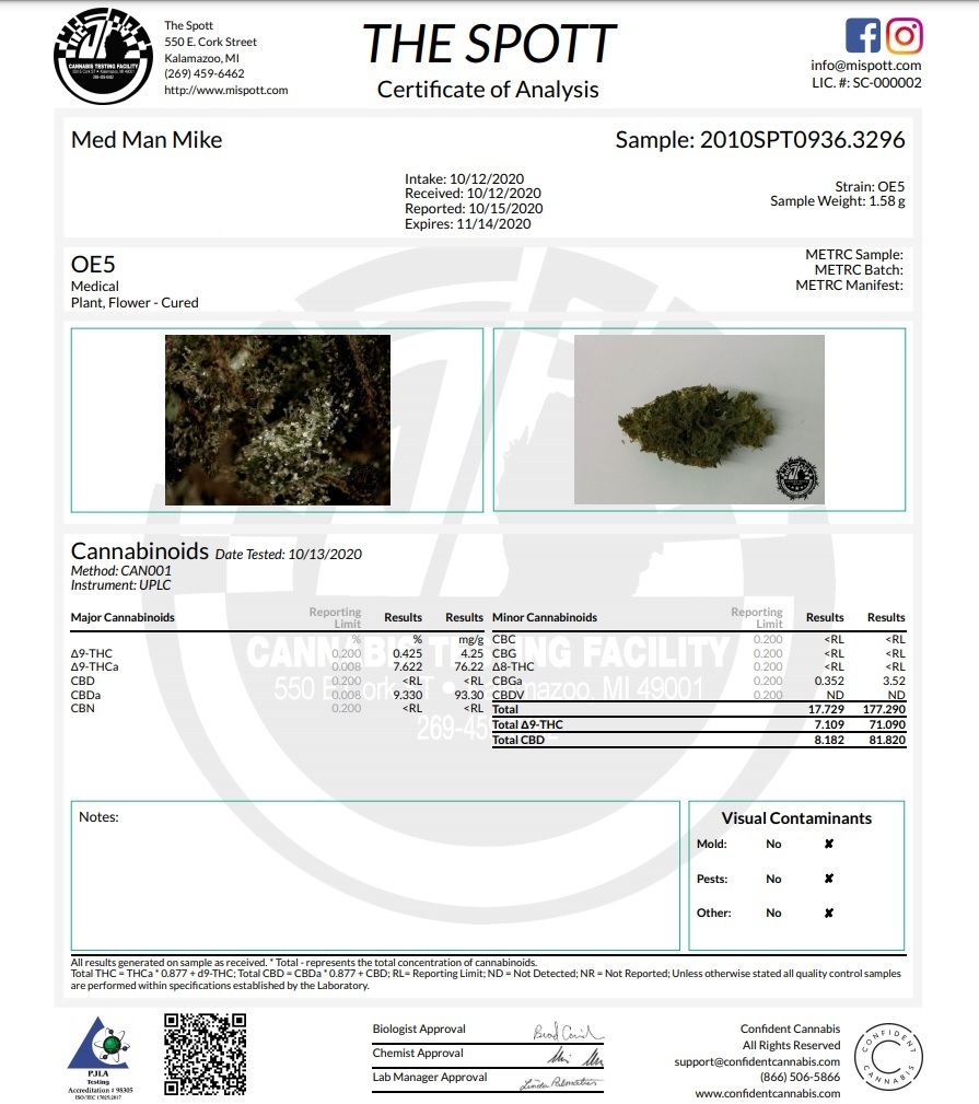 Ace Seeds - Orient Express (reg.)