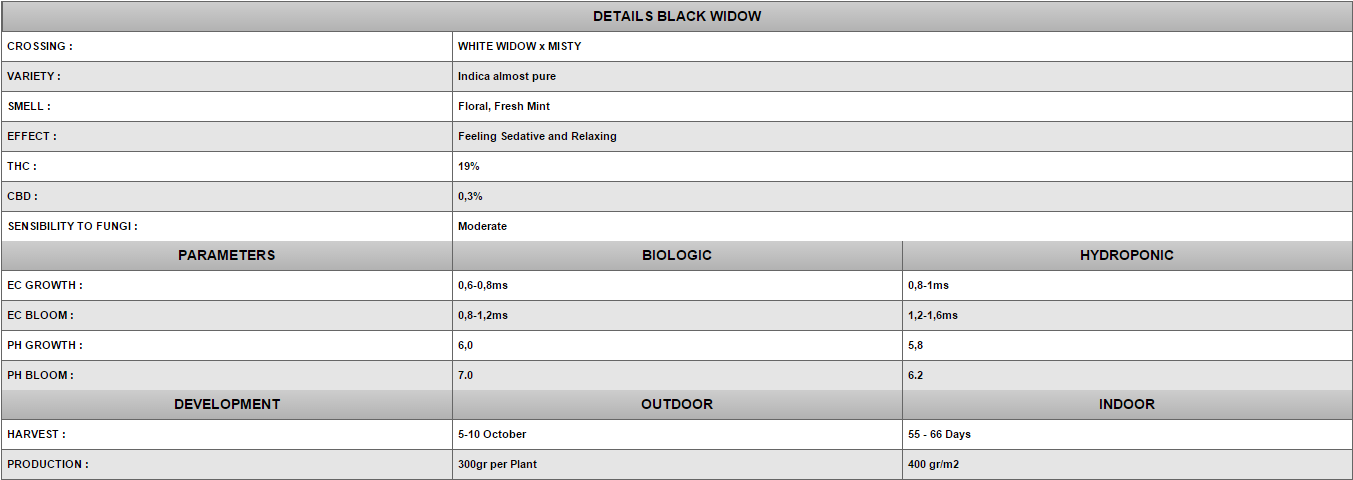 Positronics - Black Widow (fem.)