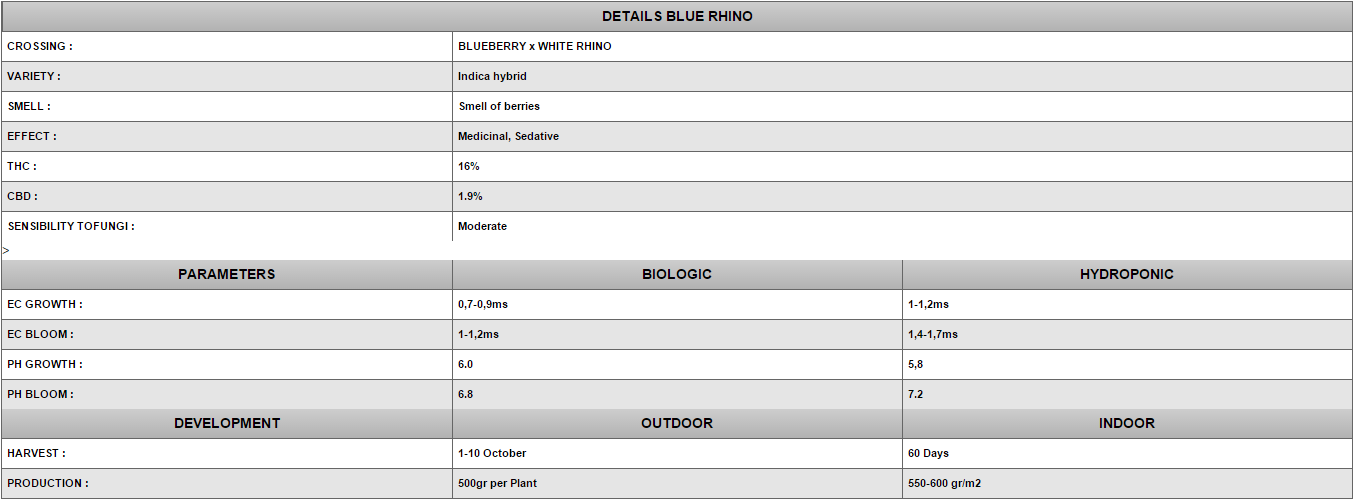 Positronics - Blue Rhino (fem.)