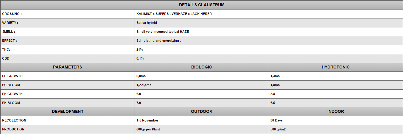 Positronics - Claustrum (fem.)