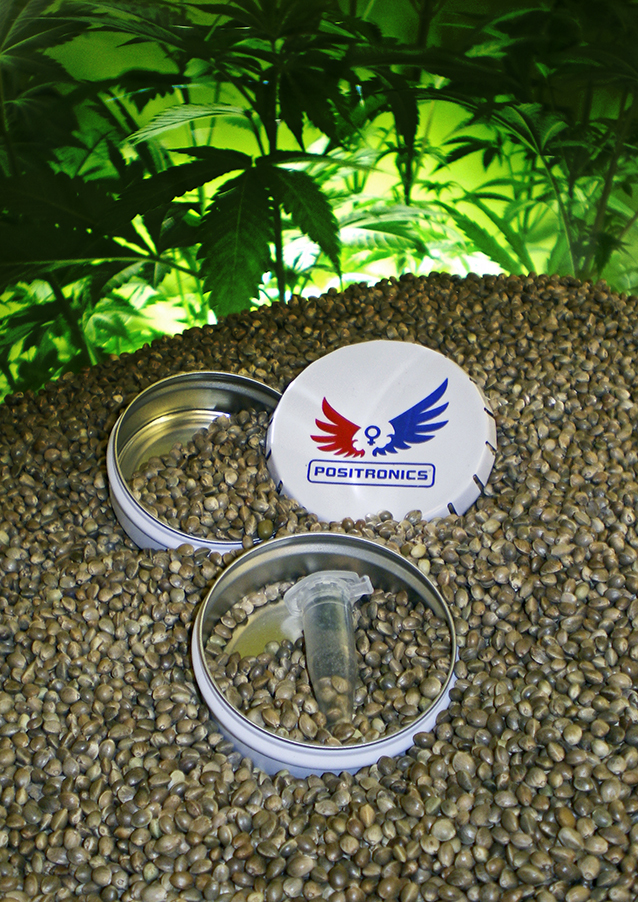 Positronics - Коллекция семян марихуаны №2 (Сатива)