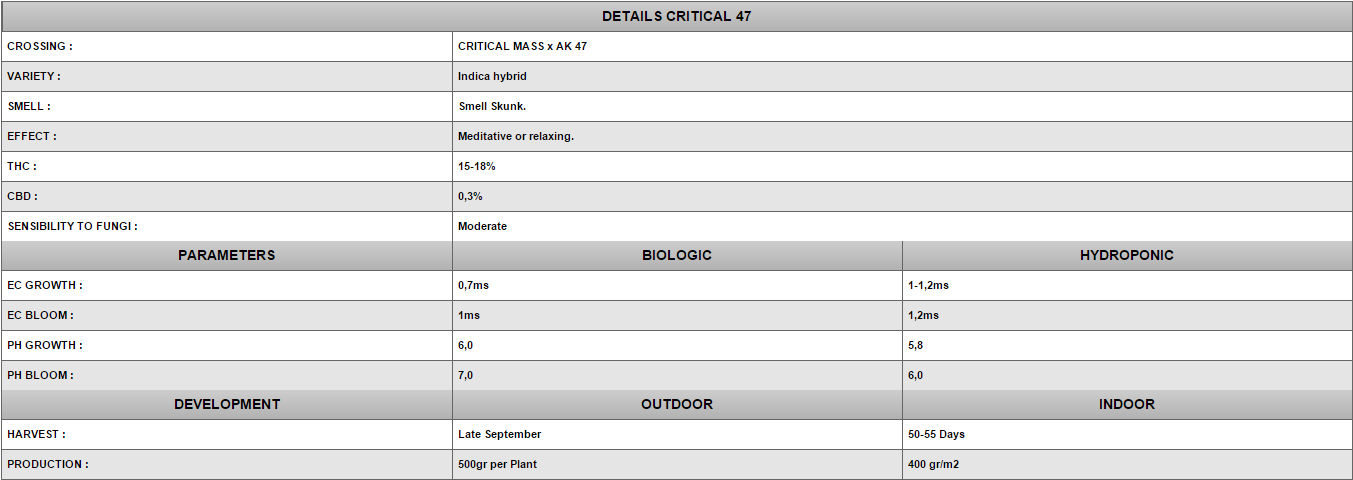 Positronics - Critical 47 (fem.)