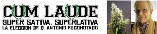 Positronics - Cum Laude (fem.)