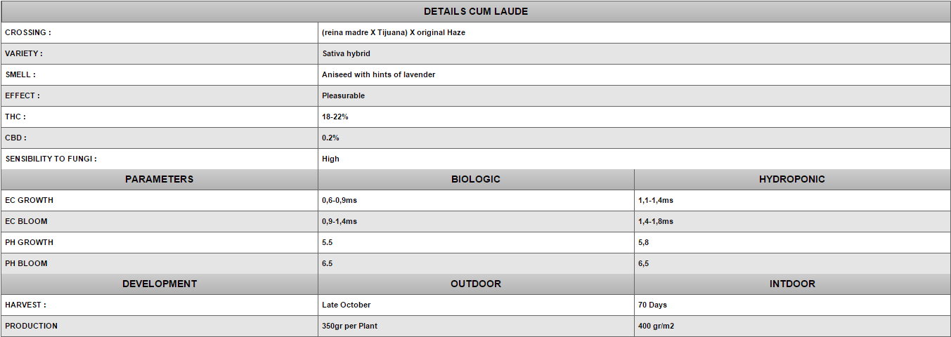 Positronics - Cum Laude (fem.)