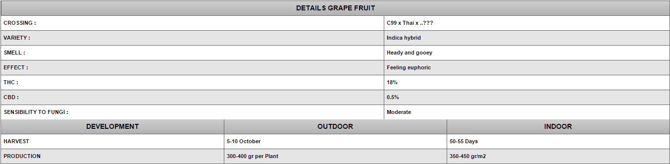 Positronics - Grape Fruit (fem.)