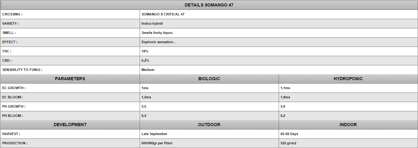 Positronics - Somango 47 (fem.)