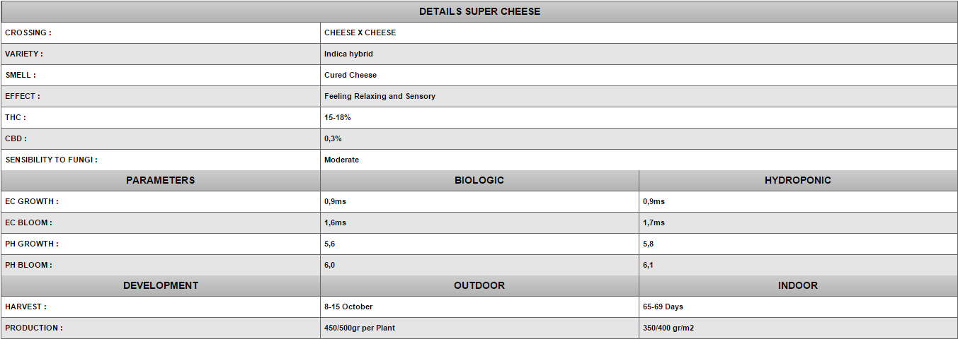 Positronics - Super Cheese (fem.)