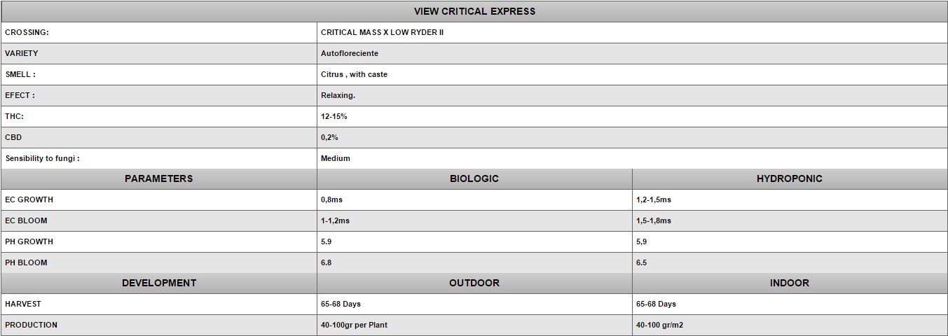 Positronics - Critical Express (auto/fem.)