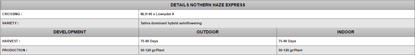 Positronics - Northern Haze Express (auto/fem.)