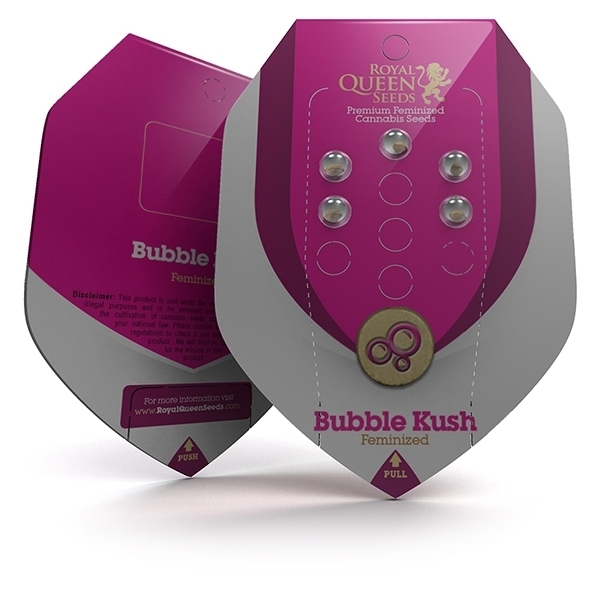 Royal Queen Seeds - Bubble Kush (fem.)