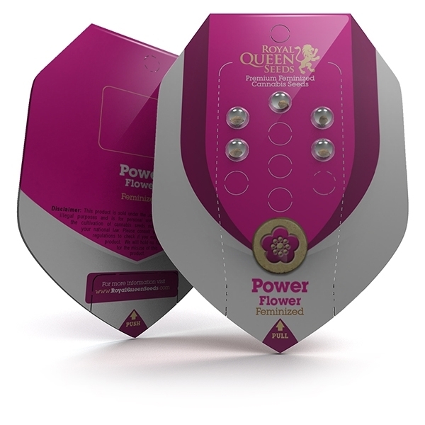 Royal Queen Seeds - Power Flower (fem.)