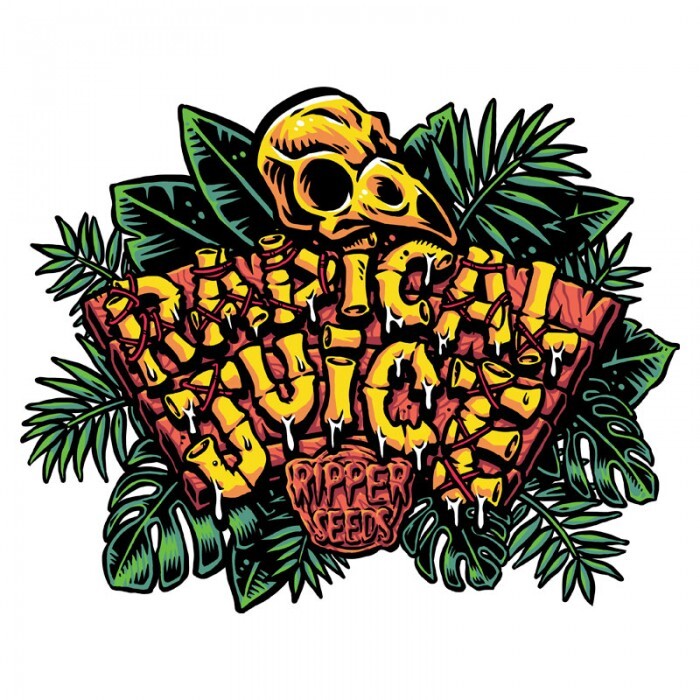 Ripper Seeds - Radical Juice (fem.)