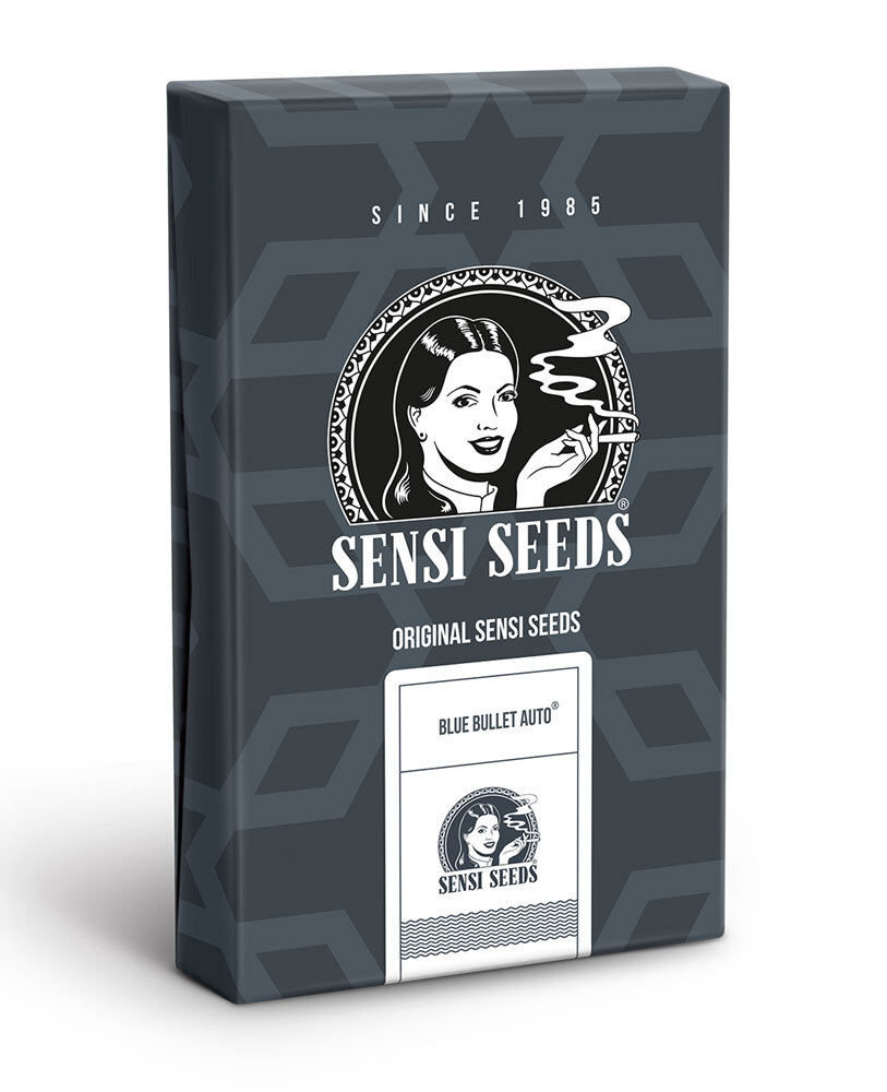 Sensi Seeds - Blue Bullet Automatic (auto/fem.)