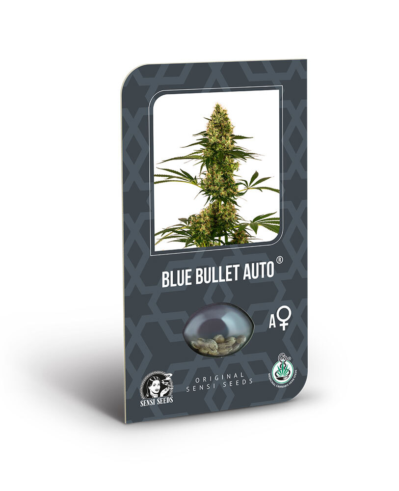 Sensi Seeds - Blue Bullet Automatic (auto/fem.)