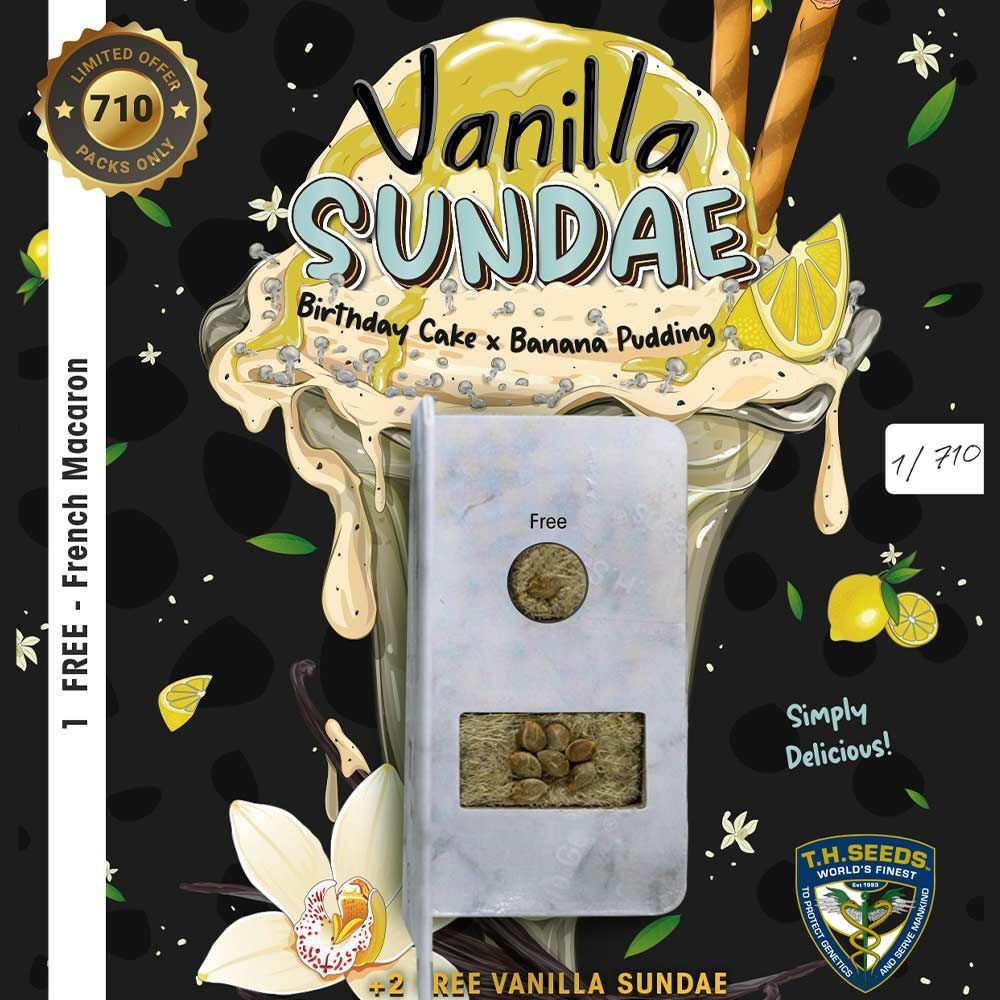 T.H. Seeds - Vanilla Sundae (fem.)