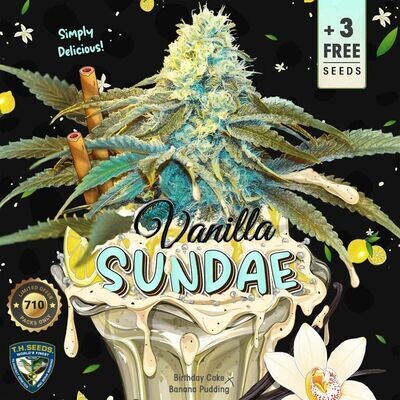 T.H. Seeds - Vanilla Sundae (fem.) 08363